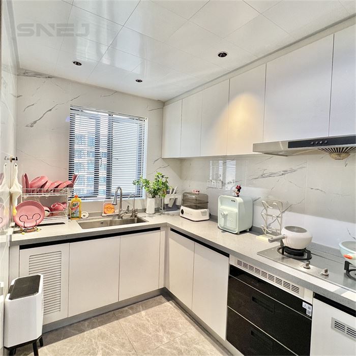 Modern Custom Kitchen Sink Cabinet